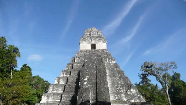 p1090443 Tikal...pure Kraft